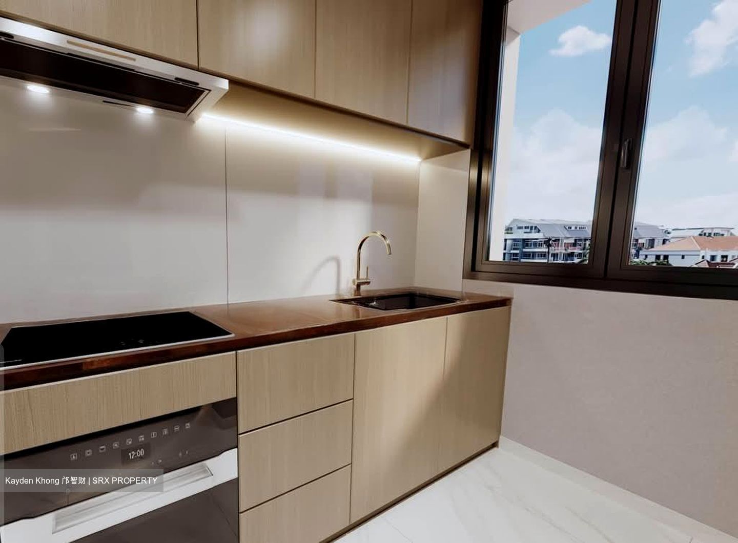 Coralis (D15), Condominium #543086281